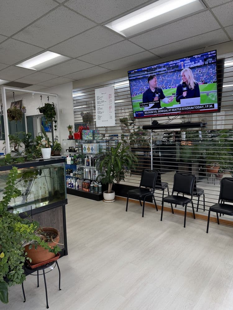 Plant-filled waiting area inside Dimension Hair Salon in Bothell